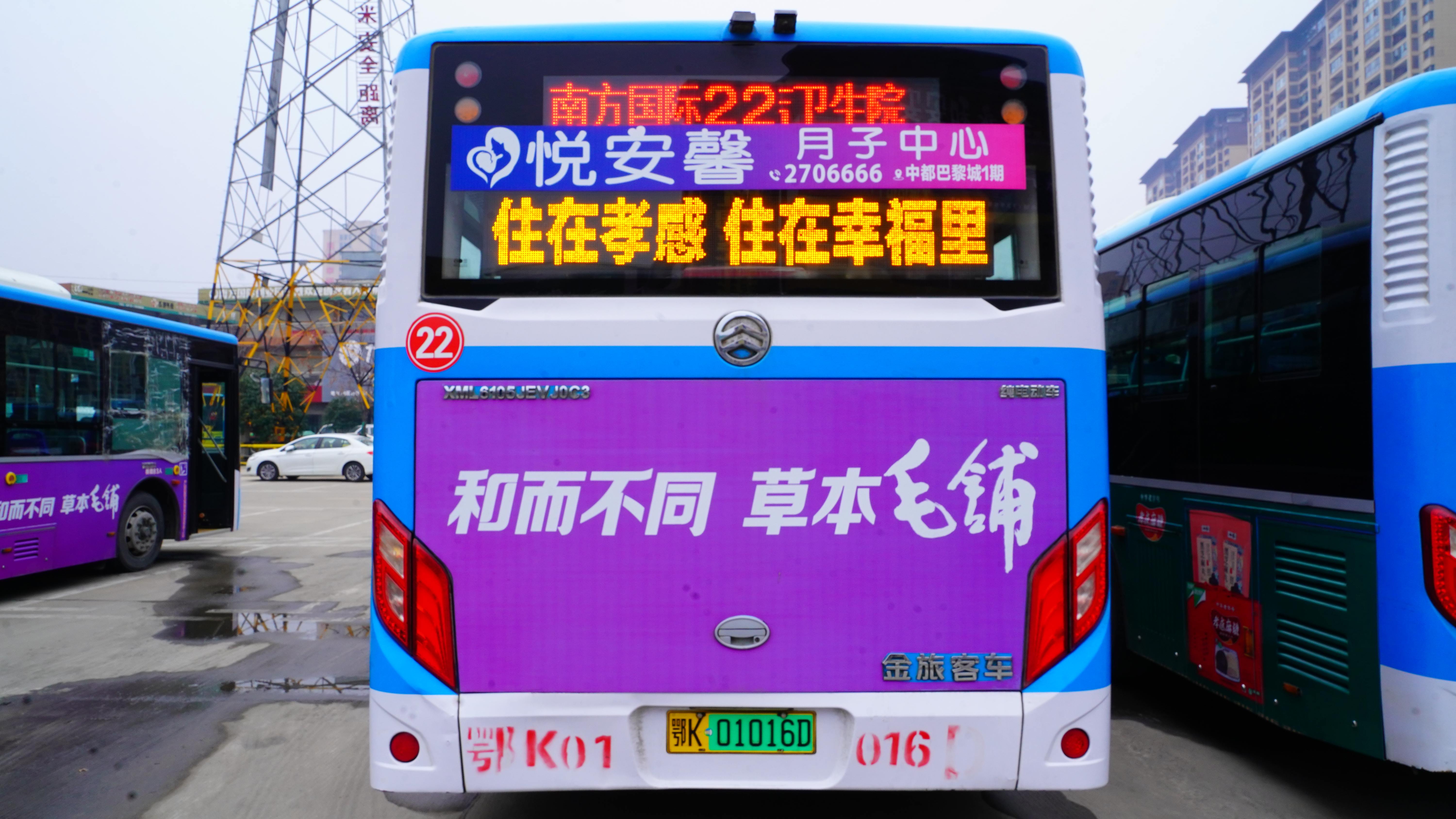 文章插图